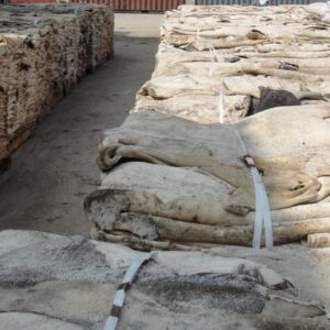 Dry / Wet Salted Donkey Hide